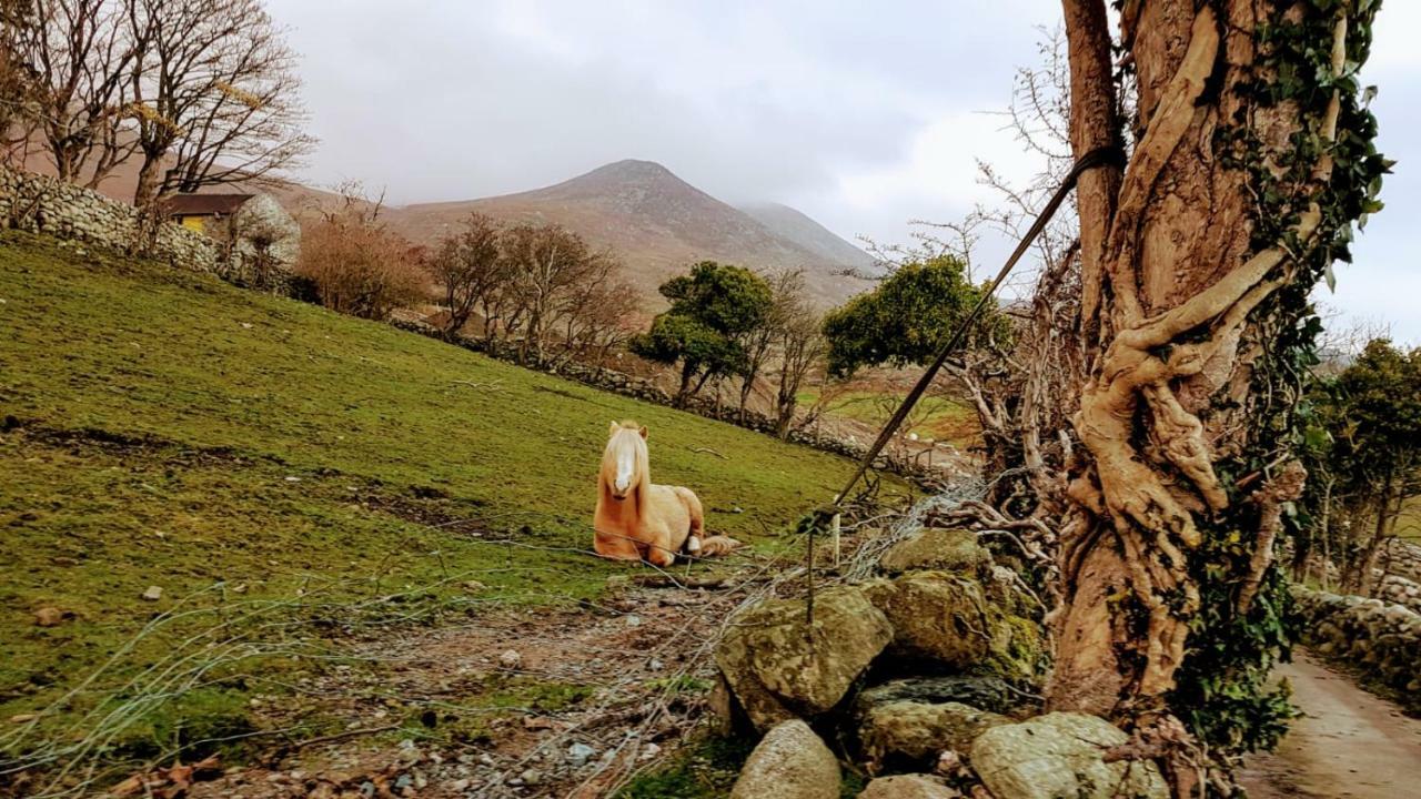 Stunning Views At Ballagh Cottage Newcastle Newcastle  Buitenkant foto